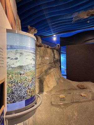 Museum of Natural History by null