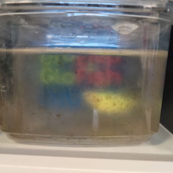 PetSmart - Poor water conditions for PetSmart fish. - Pet Stores Near Me - Tustin, California