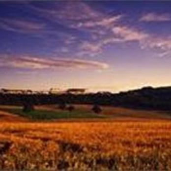 South Downs - Goodwood, from website - Parks Near Me - Arundel, WSX