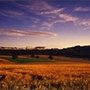 Photo of South Downs