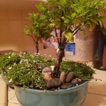 M & M Nursery - Nurseries & Gardening Near Me - Orange, California