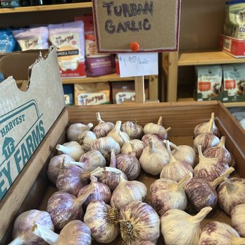 Blue Lupine - Local garlic - Health Markets Near Me - Bishop, California Blue Lupine - Local garlic - Health Markets Near Me - Bishop, California