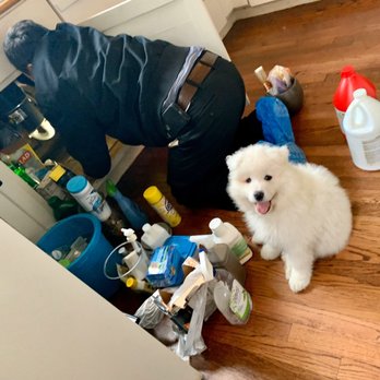 4 Service Pros - OG didn't mind working around my moving clutter or my puppy following him around. He found and fixed my leak fast. - Electricians Near Me - Springfield, Virginia 4 Service Pros - OG didn't mind working around my moving clutter or my puppy following him around. He found and fixed my leak fast. - Electricians Near Me - Springfield, Virginia