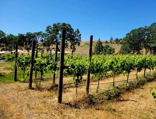 Syncline Winery by null
