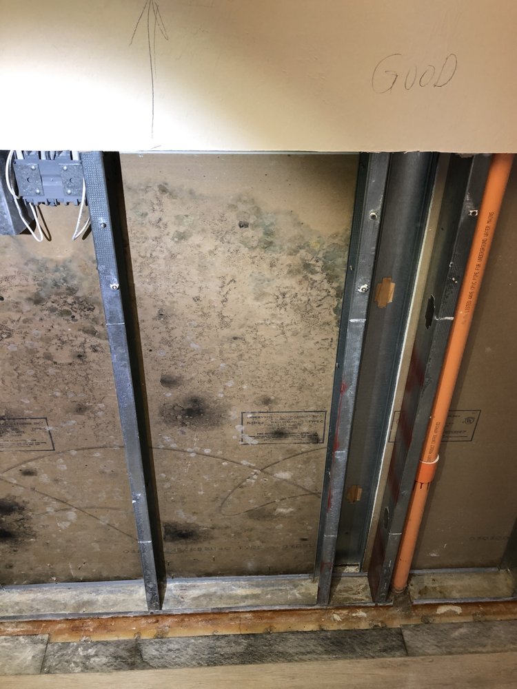 Mold Inspectors Of Florida - mold inspector in Fort Myers, FL