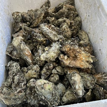 Ocean Seafood Market - Oysters - Seafood Markets Near Me - San Francisco, California Ocean Seafood Market - Oysters - Seafood Markets Near Me - San Francisco, California