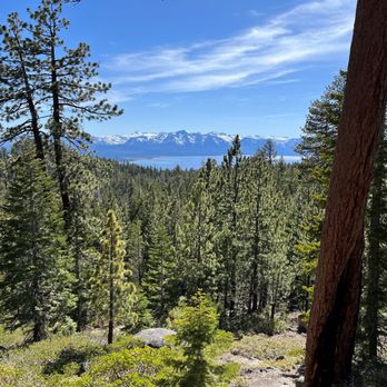 Tahoe Rim Trail - Hiking Near Me - Stateline, Nevada Tahoe Rim Trail - Hiking Near Me - Stateline, Nevada