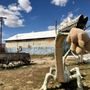 Photo of Arizona Gateway Trading Post