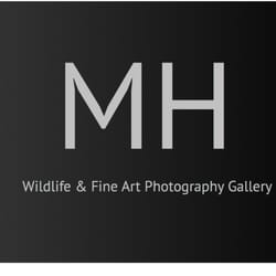 Marc Harris Wildlife & Conservation Photography - Marc Harris Wildlife & Fine Art Photography Gallery