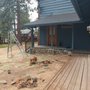 Photo of Real Construction