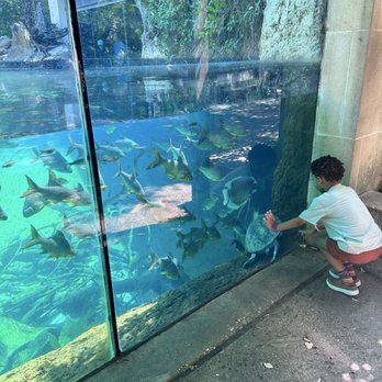 Fort Worth Zoo - Zoos Near Me - Fort Worth, Texas