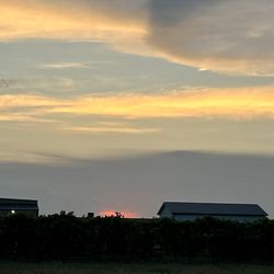 456 Wineries