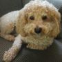 Northside Animal Hospital