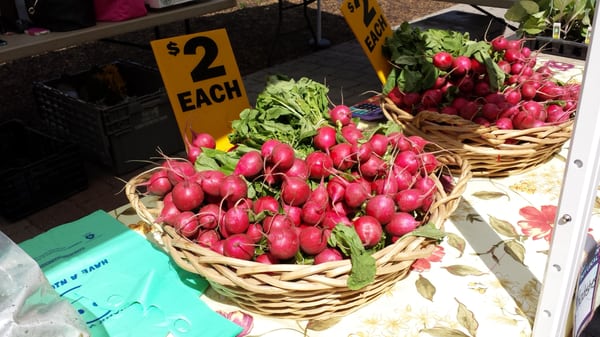 Bethlehem Farmers' Market by null