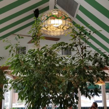 Table Talk - Ceiling - American Near Me - Alexandria, Virginia Table Talk - Ceiling - American Near Me - Alexandria, Virginia