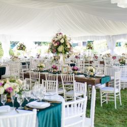 Petals - Reception