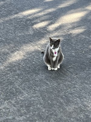 Taqueria Cancun by null