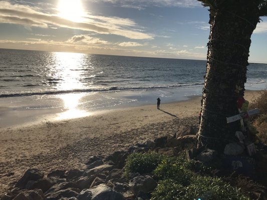 Christies Beach by null