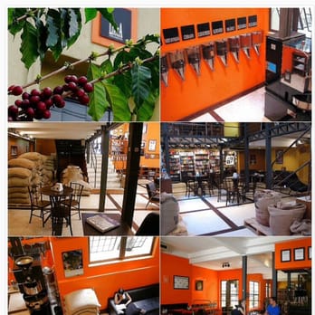 Lucca Cafés Especiais - Loja conceito - Cafes Near Me - Curitiba, Puerto Rico Lucca Cafés Especiais - Loja conceito - Cafes Near Me - Curitiba, Puerto Rico