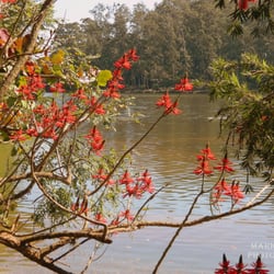 Parque Portugal