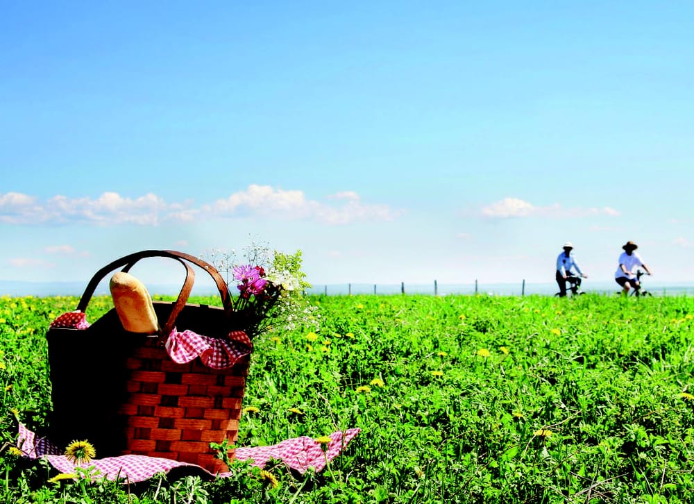 Fahrradverleih-Koblenz