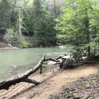 Audra State Park - Beach area near parking area *Swim at your own risk* - Parks Near Me - Buckhannon, West Virginia