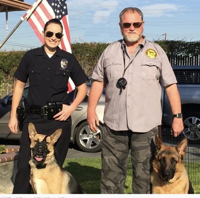 ALL BREED DOG TRAINING - Updated June 2024 - 16 Photos - Torrance