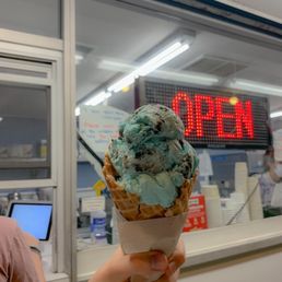 Ice Cream Waffle Cone