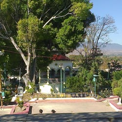 Jardín Central-Etla