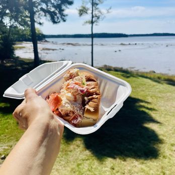 Knotty Lobster - Traditional lobster roll - Food Trucks Near Me - Milbridge, Maine