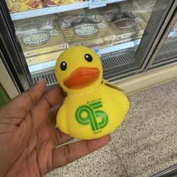 Publix - Anniversary Ducks for $3.99