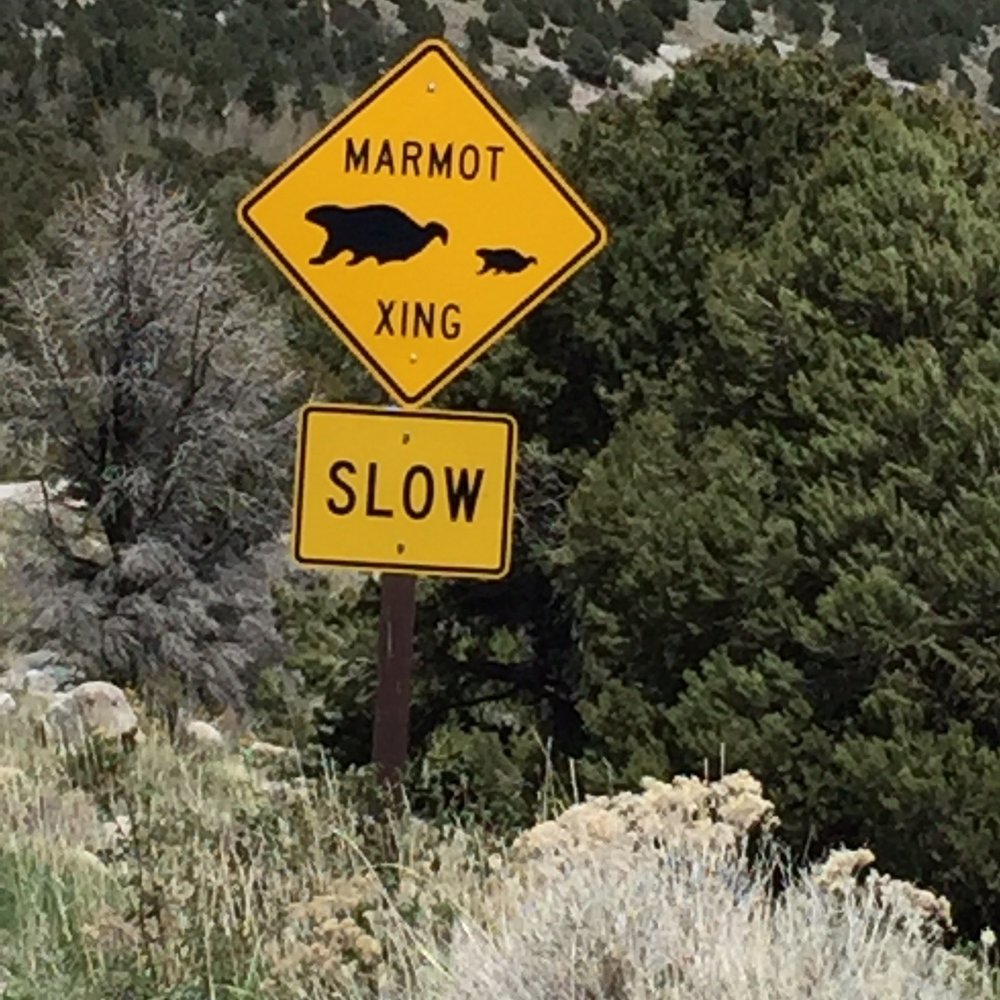 Great Basin National Park - Parks Near Me - Baker, Nevada