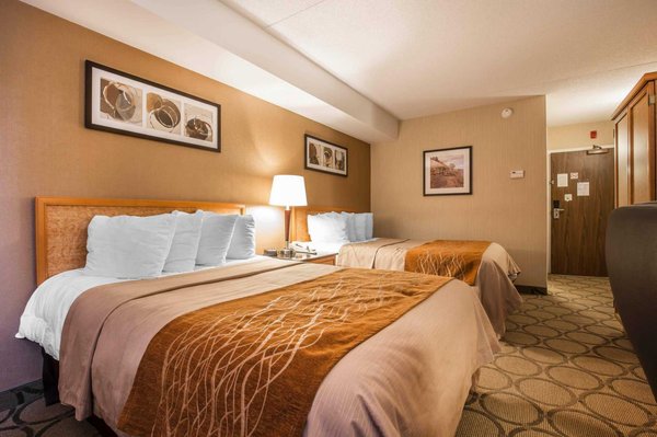 Comfort Inn 34 Photos 11 Reviews Hotels 533 Kingston Rd
