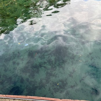Morrison Springs - Parks Near Me - Ponce de Leon, Florida