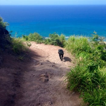 Kealia Trail - Dog Friendly! - Hiking Near Me Kealia Trail - Dog Friendly! - Hiking Near Me