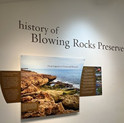 Blowing Rocks Preserve by null