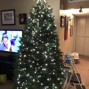 Todd's Christmas Trees - Christmas Trees Near Me - Long Beach, California