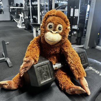 The Mission HQ - Gyms Near Me - Alameda, California The Mission HQ - Gyms Near Me - Alameda, California