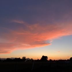 City of Gilroy - Cotton Candy Sky