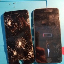 Mobile Jungle - IPhone Repairs Joliet