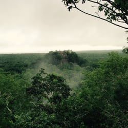 Calakmul Mayan sSte and Biosphere Reserve