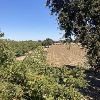 River Fox Train - A brown field. Remarkable. - Tours Near Me - West Sacramento, California