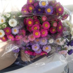 Cooperativa Argentina de Floricultores
