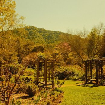 Descanso Gardens - A beautiful view in the gardens :) - Botanical Gardens Near Me - La Canada Flintridge, California Descanso Gardens - A beautiful view in the gardens :) - Botanical Gardens Near Me - La Canada Flintridge, California