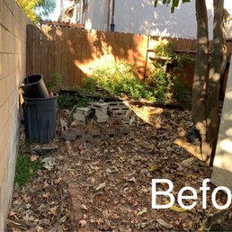 Before - Picked up the leafs and trash. Trimmed the tree and bush.