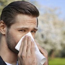 Turner Wright - Do you have a deviated septum? Dr. Turner Wright is able alleviate deviated septum suffering right in his clinic with one simple procedure!
