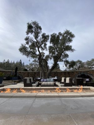 Hotel Yountville by null