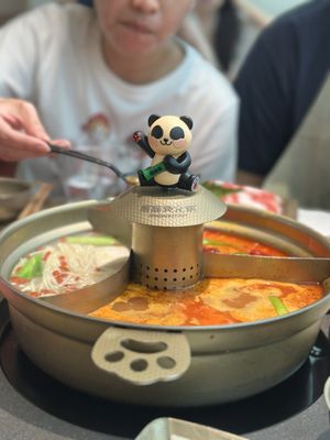 Nanshan Hot Pot - Flushing｜南山•熊猫烫火锅 - 法拉盛店 by null
