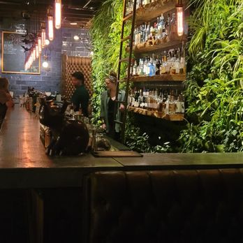 Pigtails - Living wall - Cocktail Bars Near Me - Phoenix, Arizona