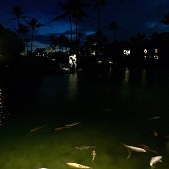 Tidepools - View from our table - Hawaiian Near Me - Poipu, Hawaii